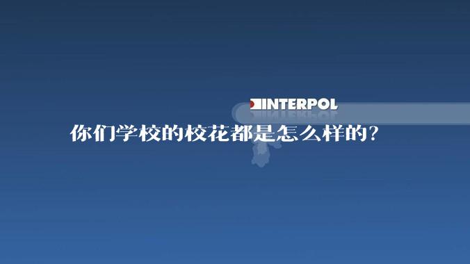 你们学校的校花都是怎么样的？