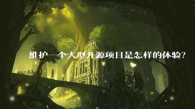 维护一个大型开源项目是怎样的体验？