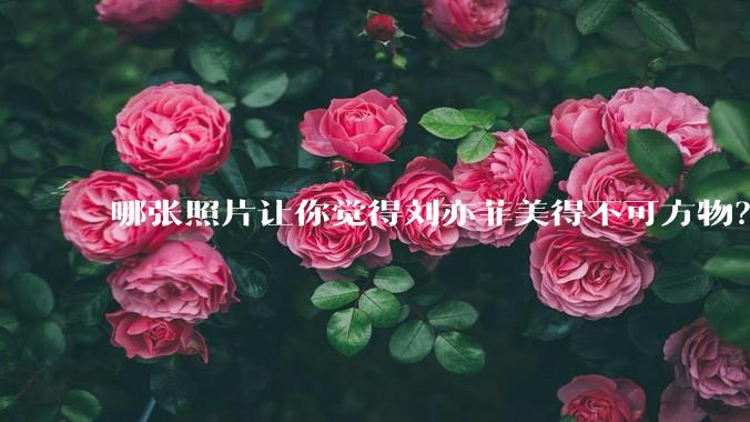 哪张照片让你觉得刘亦菲美得不可方物？