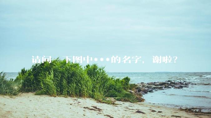 请问一下图中***的名字，谢啦？