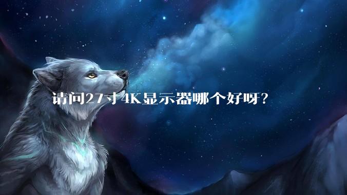 请问27寸4K显示器哪个好呀？