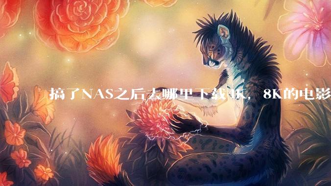 搞了NAS之后去哪里下载4K，8K的电影？