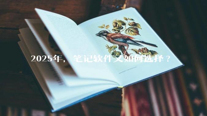 2025年，笔记软件又如何选择?
