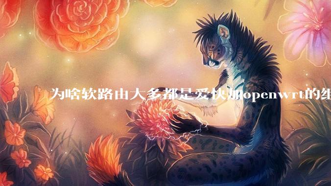 为啥软路由大多都是爱快加openwrt的组合，单openwrt有什么缺点嘛？