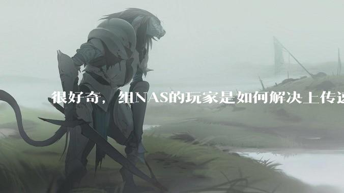 很好奇，组NAS的玩家是如何解决上传速率的问题?
