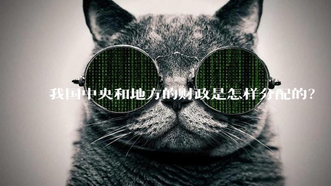 我国中央和地方的财政是怎样分配的？