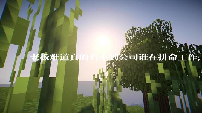 老板难道真的看不到公司谁在拼命工作，谁在摸鱼嘛？