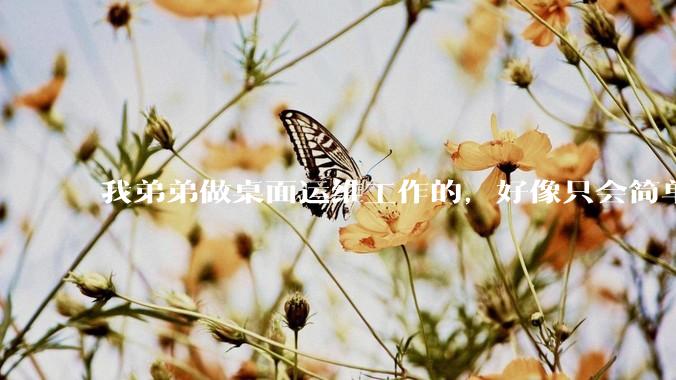 我弟弟做桌面运维工作的，好像只会简单的数据库增删改查备份恢复和打印机电脑的维护等一年多没工作了咋办？